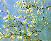 Vincent Van Gogh Blossomong Almond Tree France oil painting artist